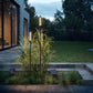 Reed Solar Join - Solarleuchte