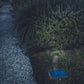 Solarspot
